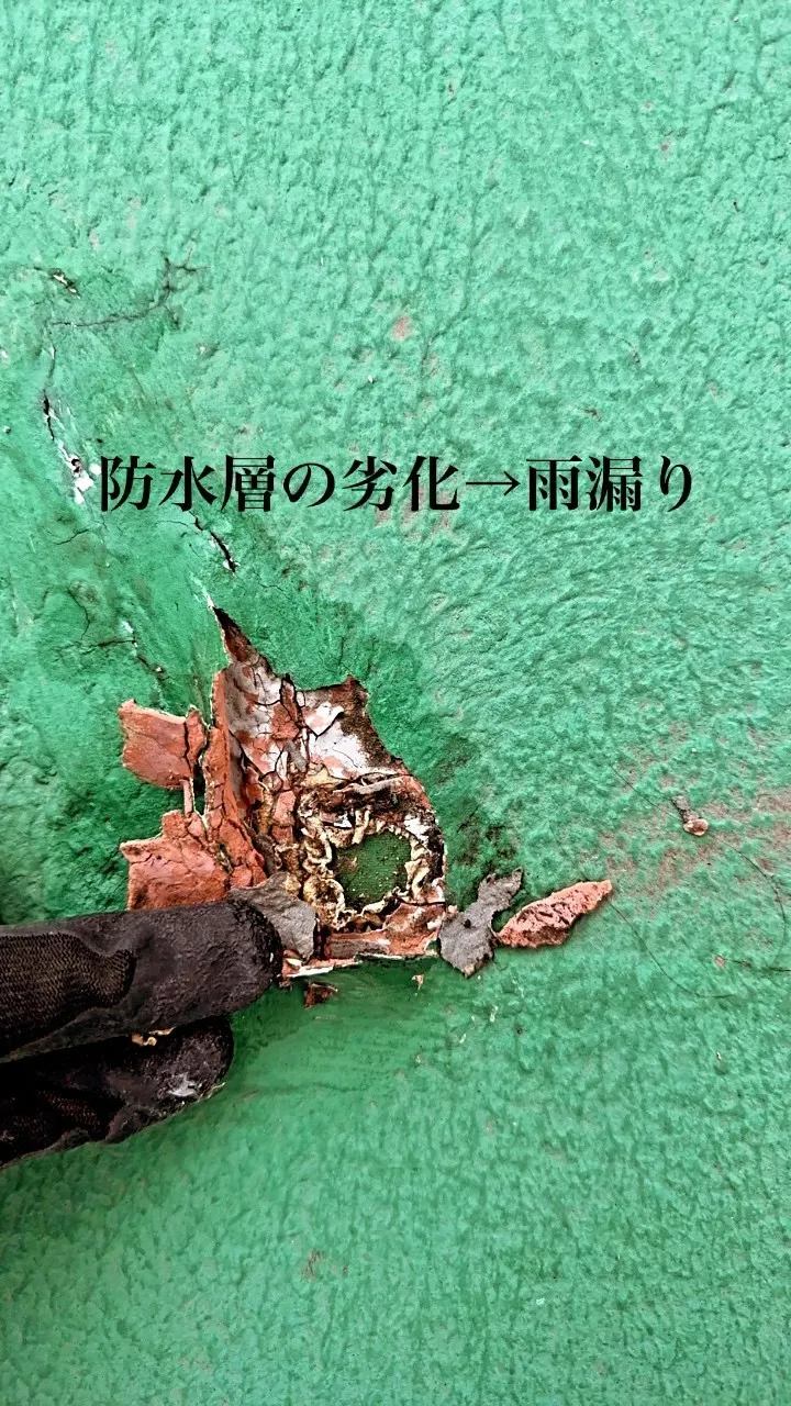 【防水層劣化による雨漏り☔️】
